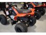 2021 Can-Am DS 250 for sale 201175675